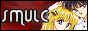 88 x 31